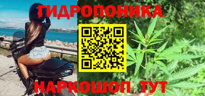 apvp Аргун
