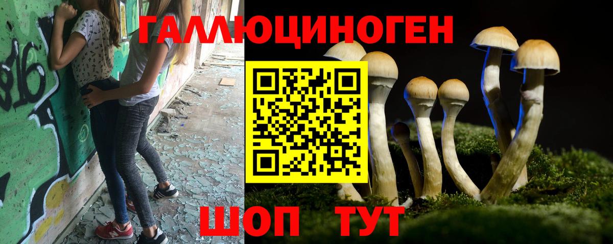 Галлюциногенные грибы Cubensis Белогорск